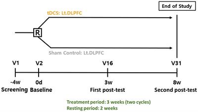 Safety and feasibility of optimized transcranial direct current stimulation in patients with mild cognitive impairment due to Alzheimer’s disease: a multicenter study protocol for a randomized controlled trial